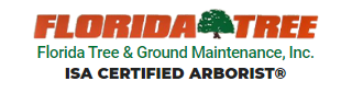 Florida Tree & Ground Maintenance